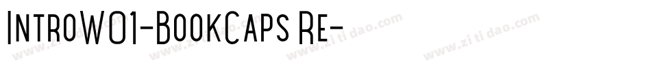 IntroW01-BookCaps Re字体转换